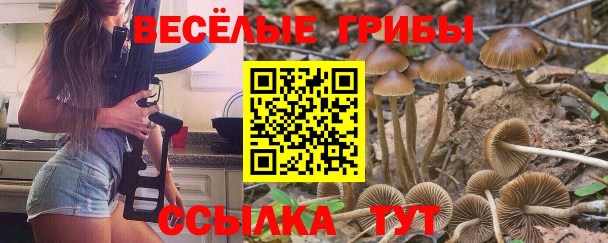 Магадан  Галлюциногенные грибы MAGIC MUSHROOMS  Вход с VPN 